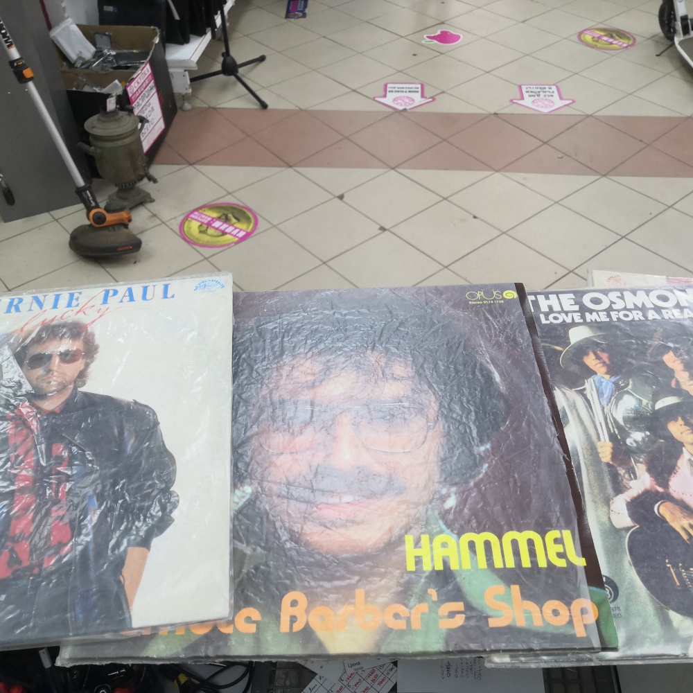 Виниловая пластинка