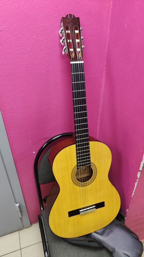 Гитара Flight G-102